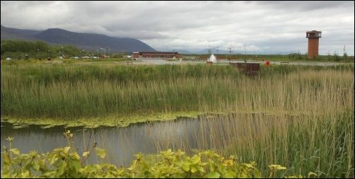 Tralee Bay Wetlands Centre